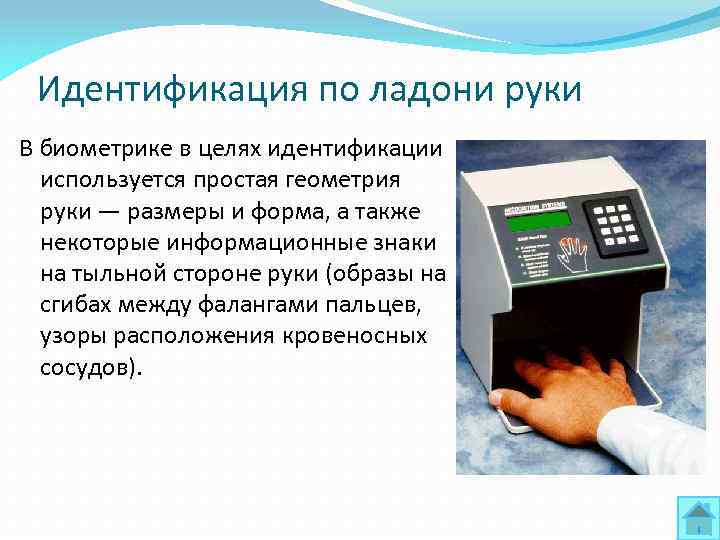 Идентификация по ладони руки В биометрике в целях идентификации используется простая геометрия руки —