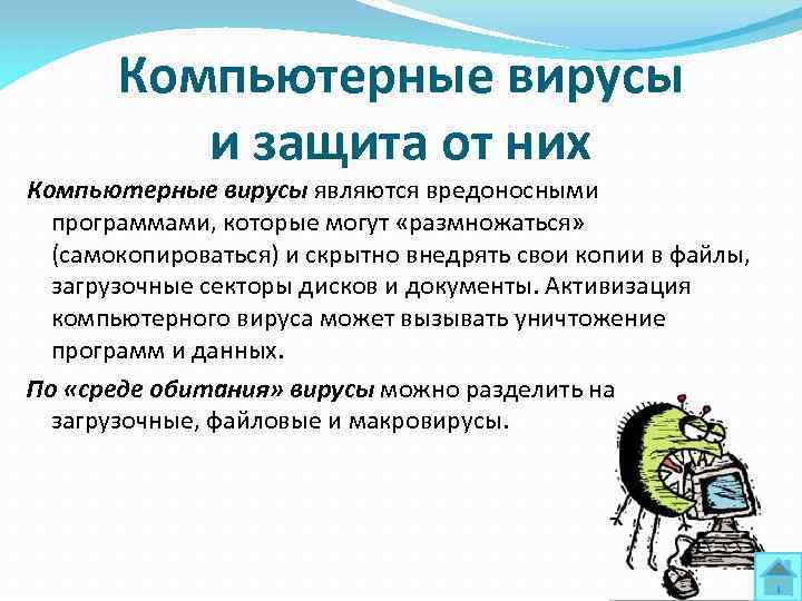 Компьютерные вирусы и защита от них Компьютерные вирусы являются вредоносными программами, которые могут «размножаться»