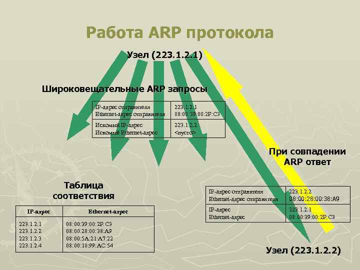 Работа ARP протокола Узел (223. 1. 2. 1) Широковещательные ARP запросы IP-адрес отправителя Ethernet-адрес