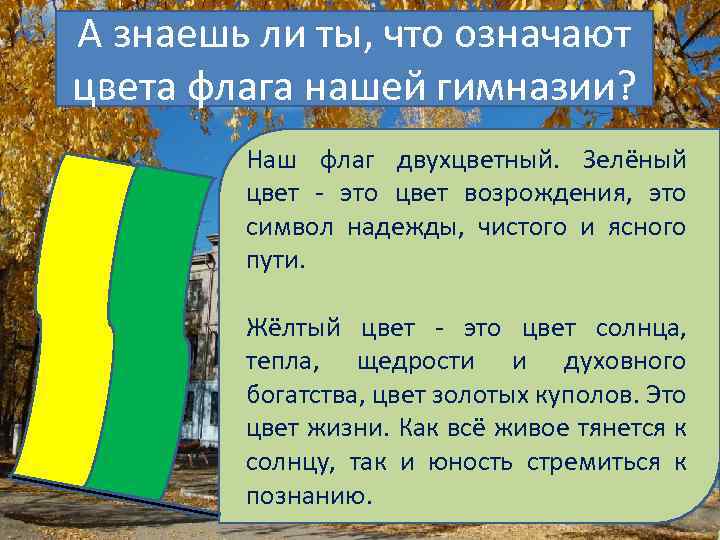 А знаешь ли ты, что означают цвета флага нашей гимназии? Наш флаг двухцветный. Зелёный