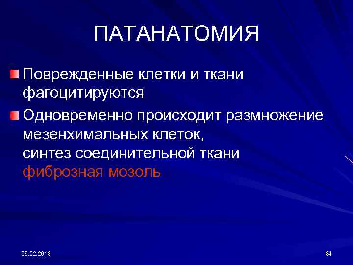 ПАТАНАТОМИЯ Поврежденные клетки и ткани фагоцитируются Одновременно происходит размножение мезенхимальных клеток, синтез соединительной ткани