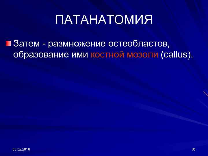 ПАТАНАТОМИЯ Затем - размножение остеобластов, образование ими костной мозоли (саllus). 06. 02. 2018 85