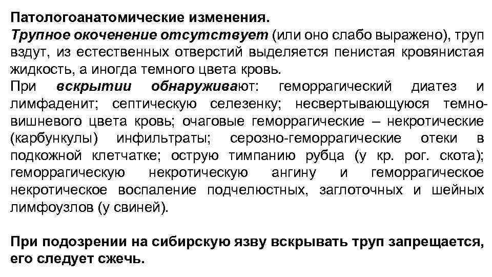 Патологоанатомическая картина при сибирской язве представлена всеми описанными изменениями кроме