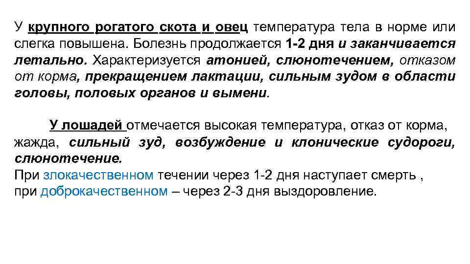 У крупного рогатого скота и овец температура тела в норме или слегка повышена. Болезнь