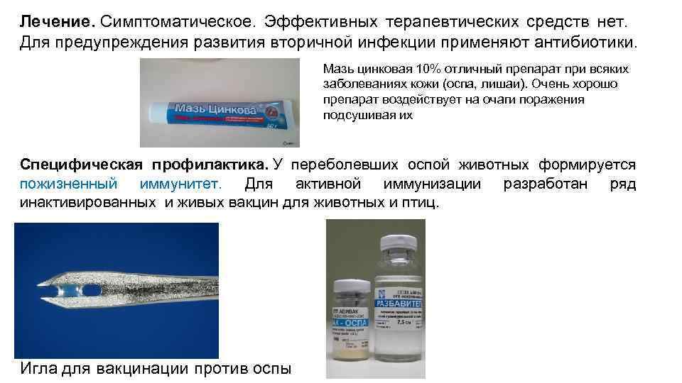 Оспа методы профилактики. Вирус оспы специфическая профилактика. Натуральная оспа профилактика. Вакцина против натуральной оспы.