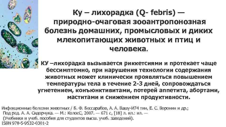 Ку – лихорадка (Q- febris) — природно-очаговая зооантропонозная болезнь домашних, промысловых и диких млекопитающих