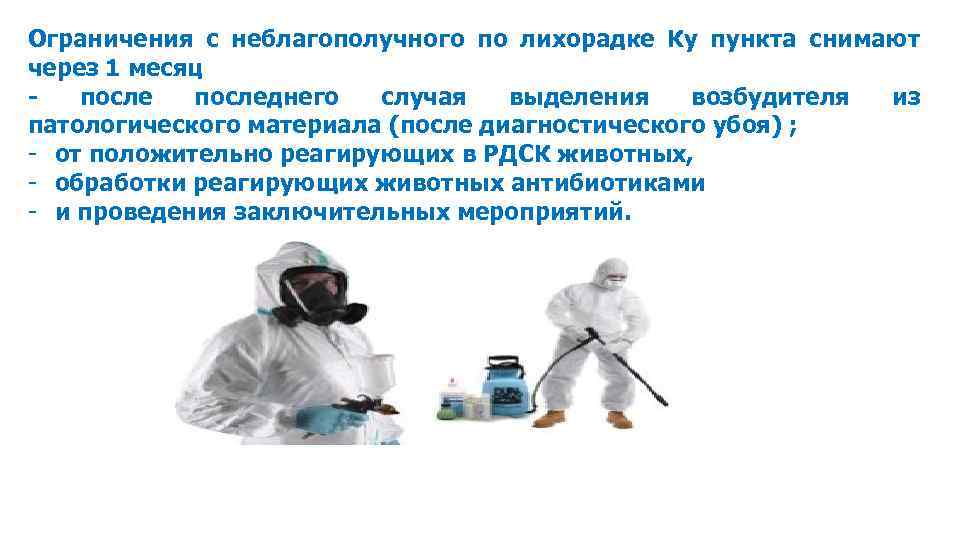 Ограничения с неблагополучного по лихорадке Ку пункта снимают через 1 месяц - последнего случая