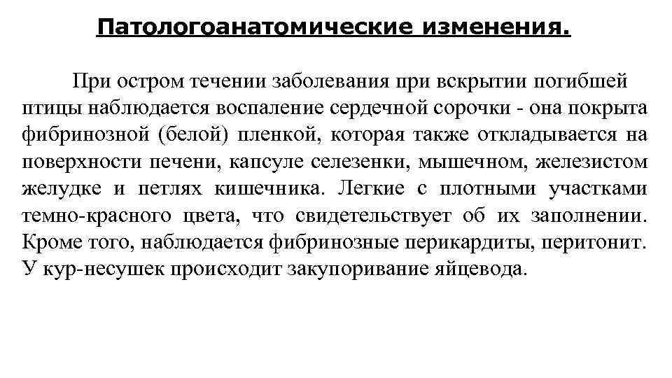 Патологоанатомические изменения. При остром течении заболевания при вскрытии погибшей птицы наблюдается воспаление сердечной сорочки