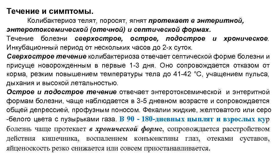 Течение и симптомы. Колибактериоз телят, поросят, ягнят протекает в энтеритной, энтеротоксемической (отечной) и септической