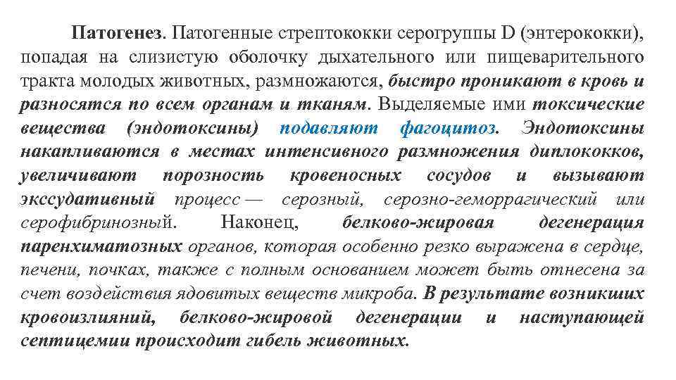 Патогенез. Патогенные стрептококки серогруппы D (энтерококки), попадая на слизистую оболочку дыхательного или пищеварительного тракта