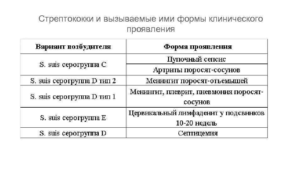 Стрептококки и вызываемые ими формы клинического проявления 