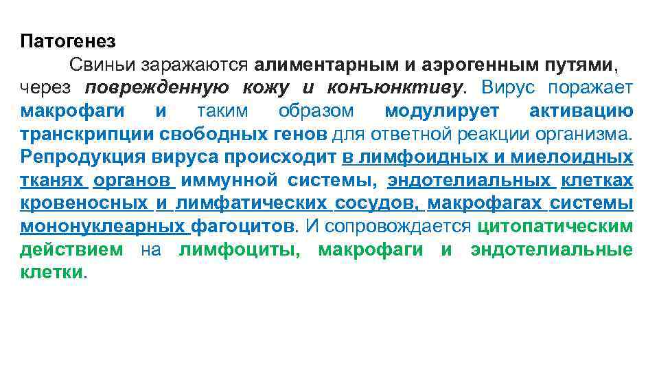 Патогенез Свиньи заражаются алиментарным и аэрогенным путями, через поврежденную кожу и конъюнктиву. Вирус поражает