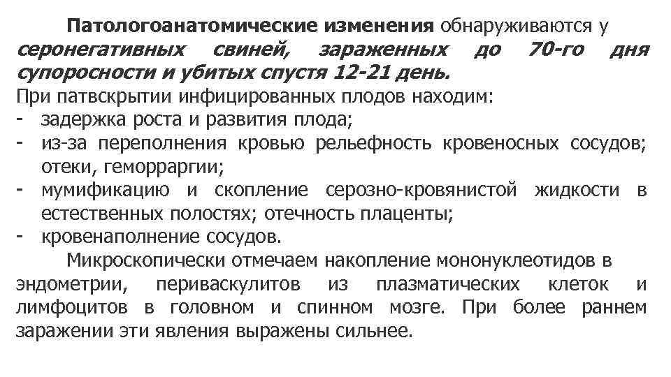 Патологоанатомические изменения обнаруживаются у серонегативных свиней, зараженных супоросности и убитых спустя 12 -21 день.
