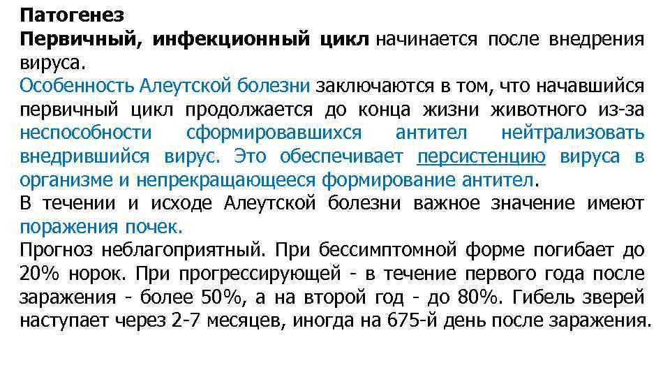 Патогенез Первичный, инфекционный цикл начинается после внедрения вируса. Особенность Алеутской болезни заключаются в том,