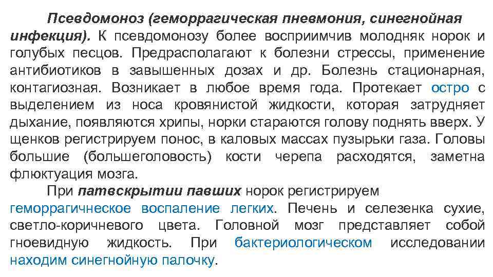 Псевдомоноз (геморрагическая пневмония, синегнойная инфекция). К псевдомонозу более восприимчив молодняк норок и голубых песцов.