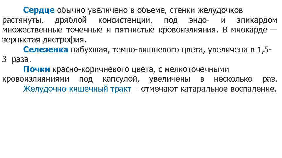 Сердце обычно увеличено в объеме, стенки желудочков растянуты, дряблой консистенции, под эндо- и эпикардом