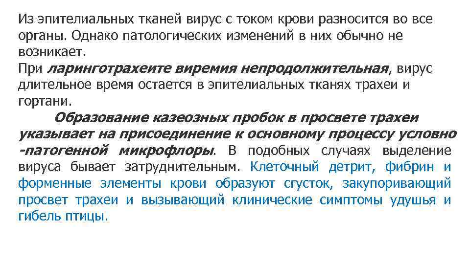 Из эпителиальных тканей вирус с током крови разносится во все органы. Однако патологических изменений