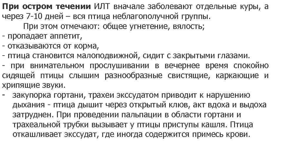 При остром течении ИЛТ вначале заболевают отдельные куры, а через 7 -10 дней –