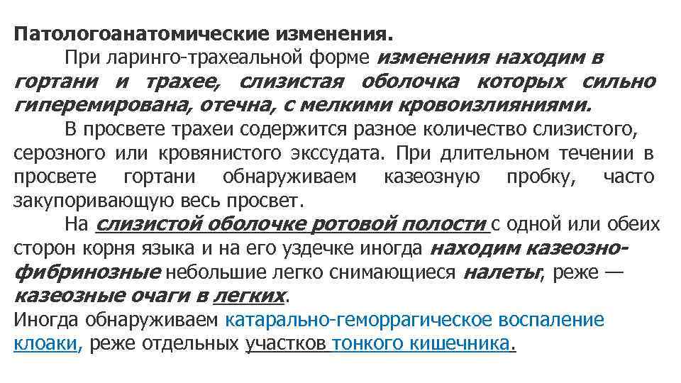 Патологоанатомические изменения. При ларинго-трахеальной форме изменения находим в гортани и трахее, слизистая оболочка которых