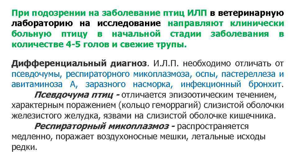 При подозрении на заболевание птиц ИЛП в ветеринарную лабораторию на исследование направляют клинически больную