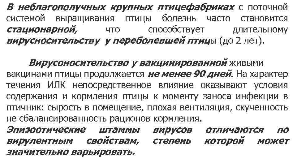 В неблагополучных крупных птицефабриках с поточной системой выращивания птицы болезнь часто становится стационарной, что