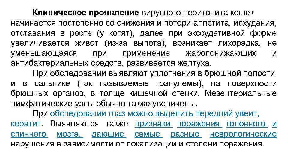 Клиническое проявление вирусного перитонита кошек начинается постепенно со снижения и потери аппетита, исхудания, отставания