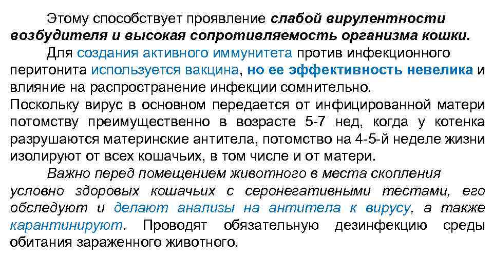 Этому способствует проявление слабой вирулентности возбудителя и высокая сопротивляемость организма кошки. Для создания активного