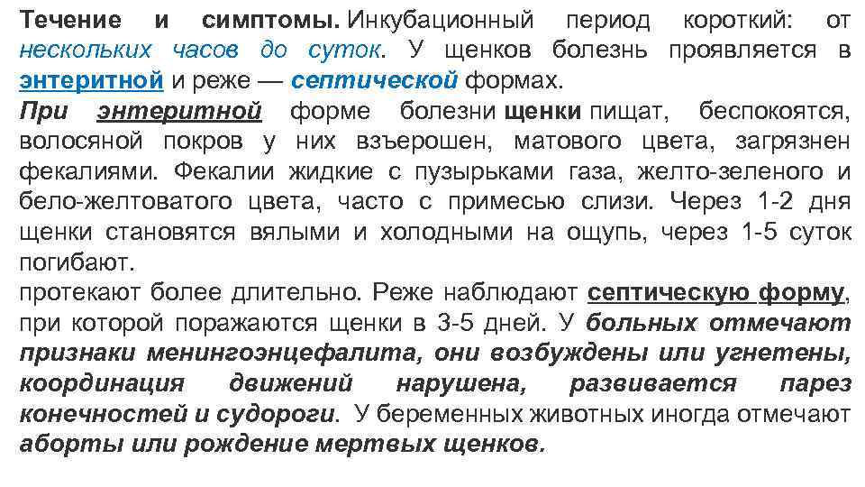 Течение и симптомы. Инкубационный период короткий: от нескольких часов до суток. У щенков болезнь