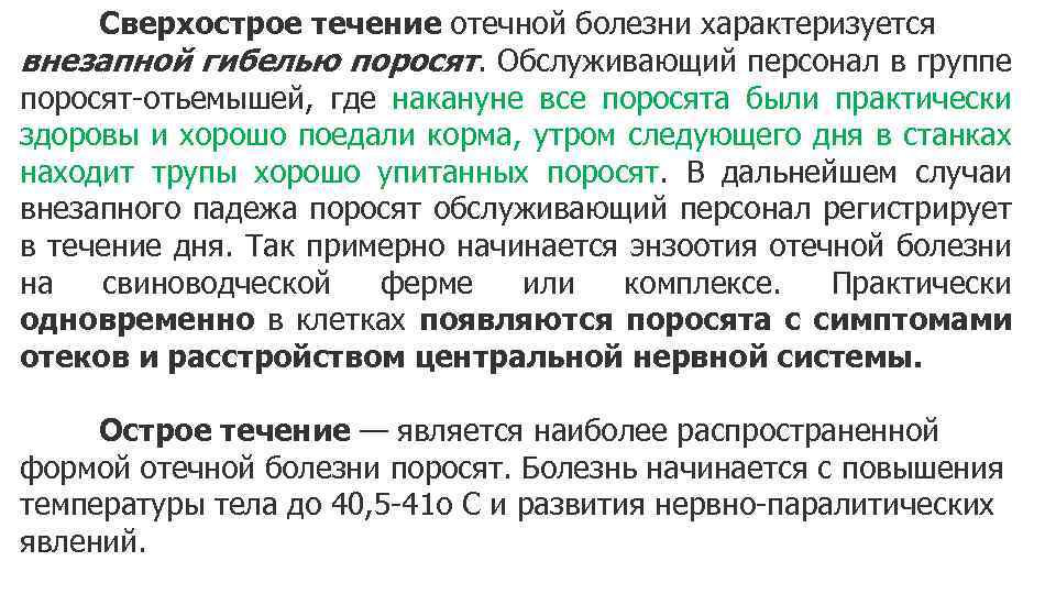 Сверхострое течение отечной болезни характеризуется внезапной гибелью поросят. Обслуживающий персонал в группе поросят-отьемышей, где