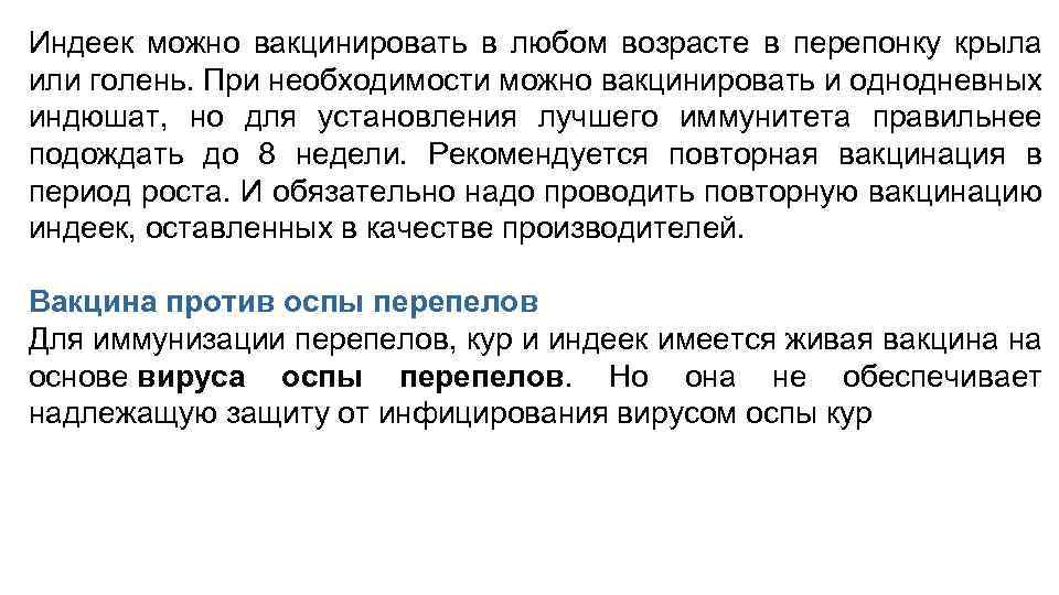 Индеек можно вакцинировать в любом возрасте в перепонку крыла или голень. При необходимости можно