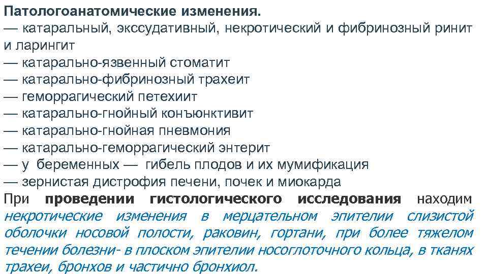 Патологоанатомические изменения. — катаральный, экссудативный, некротический и фибринозный ринит и ларингит — катарально-язвенный стоматит