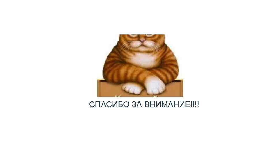 СПАСИБО ЗА ВНИМАНИЕ!!!! 