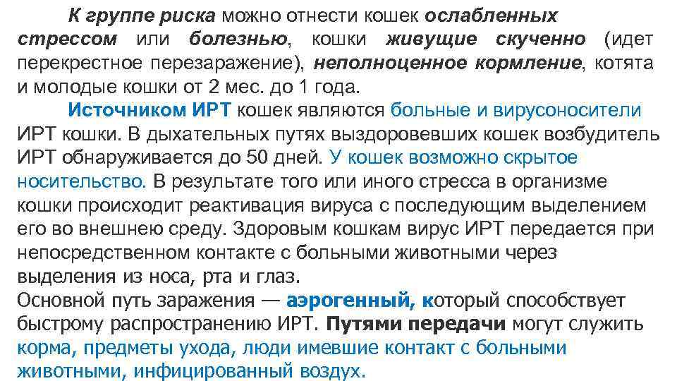 К группе риска можно отнести кошек ослабленных стрессом или болезнью, кошки живущие скученно (идет