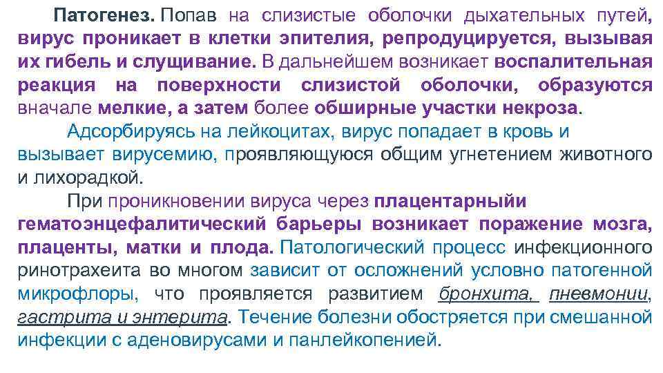  Патогенез. Попав на слизистые оболочки дыхательных путей, вирус проникает в клетки эпителия, репродуцируется,