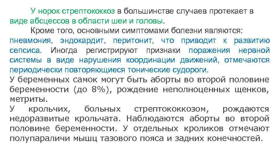 У норок стрептококкоз в большинстве случаев протекает в виде абсцессов в области шеи и