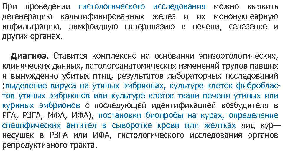 При проведении гистологического исследования можно выявить дегенерацию кальцифинированных желез и их мононуклеарную инфильтрацию, лимфоидную