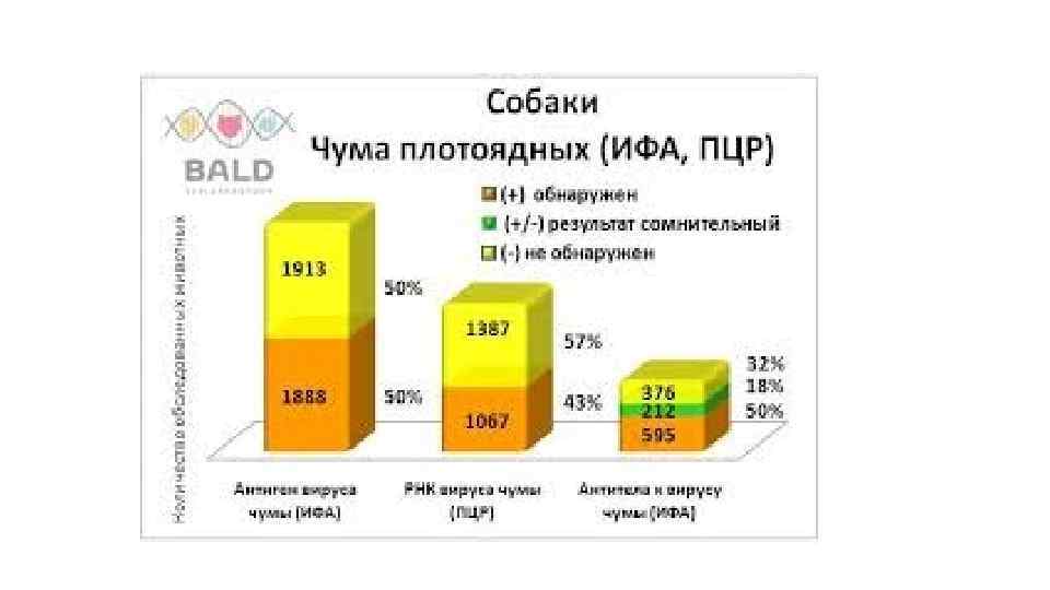 Схема лечения чумы у собак