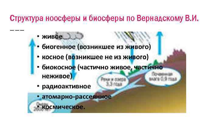 Структура ноосферы и биосферы по Вернадскому В. И. 