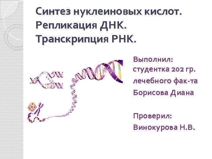 Синтез нуклеиновых кислот. Репликация ДНК. Транскрипция РНК. Выполнил: студентка 202 гр. лечебного фак-та Борисова