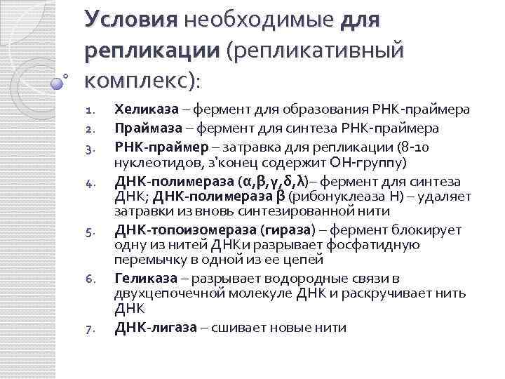 Условия необходимые для репликации (репликативный комплекс): 1. 2. 3. 4. 5. 6. 7. Хеликаза