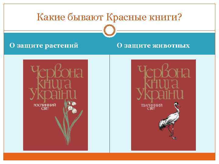 Какие бывают Красные книги? О защите растений О защите животных 