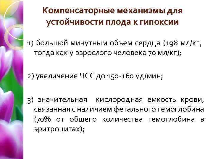 Компенсаторные механизмы для устойчивости плода к гипоксии 1) большой минутным объем сердца (198 мл/кг,