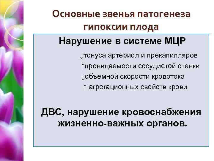 Основные звенья патогенеза гипоксии плода Нарушение в системе МЦР ↓тонуса артериол и прекапилляров ↑проницаемости