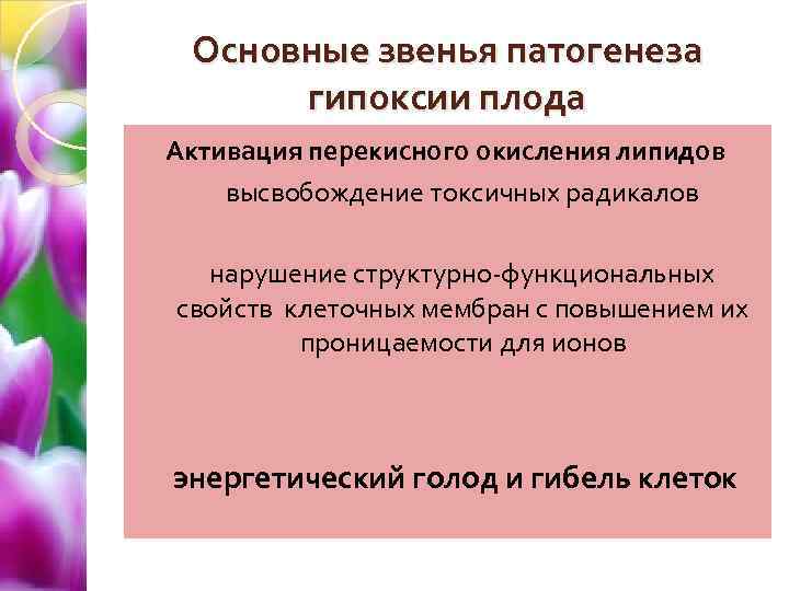 Основные звенья патогенеза гипоксии плода Активация перекисного окисления липидов высвобождение токсичных радикалов нарушение структурно-функциональных