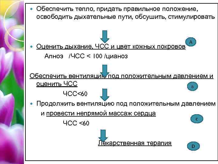  Обеспечить тепло, придать правильное положение, освободить дыхательные пути, обсушить, стимулировать Оценить дыхание, ЧСС