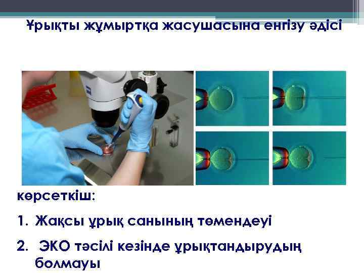 Ұрықты жұмыртқа жасушасына енгізу әдісі көрсеткіш: 1. Жақсы ұрық санының төмендеуі 2. ЭКО тәсілі