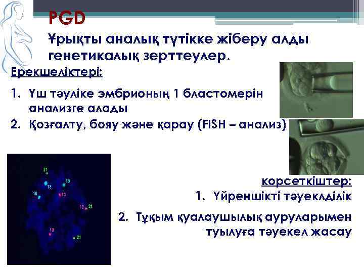 PGD Ұрықты аналық түтікке жіберу алды генетикалық зерттеулер. Ерекшеліктері: 1. Үш тәуліке эмбрионың 1