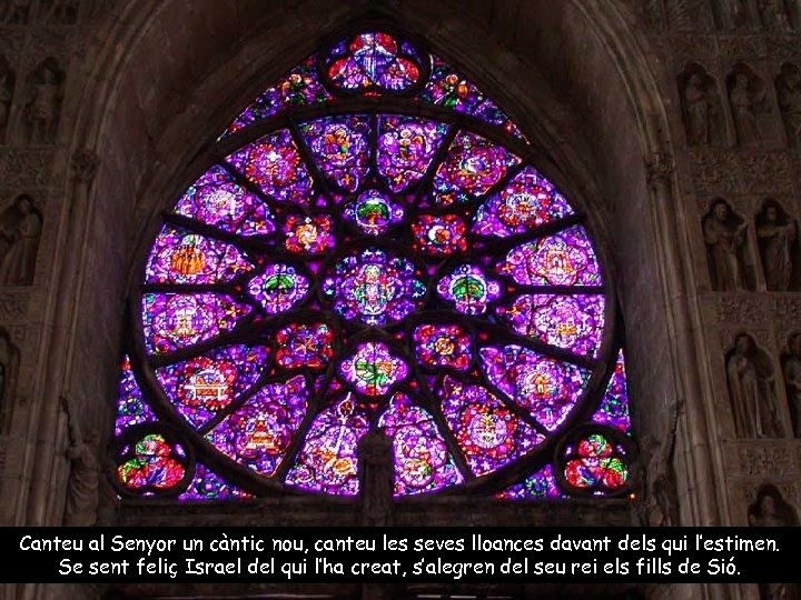 Canteu al Senyor un càntic nou, canteu les seves lloances davant dels qui l’estimen.