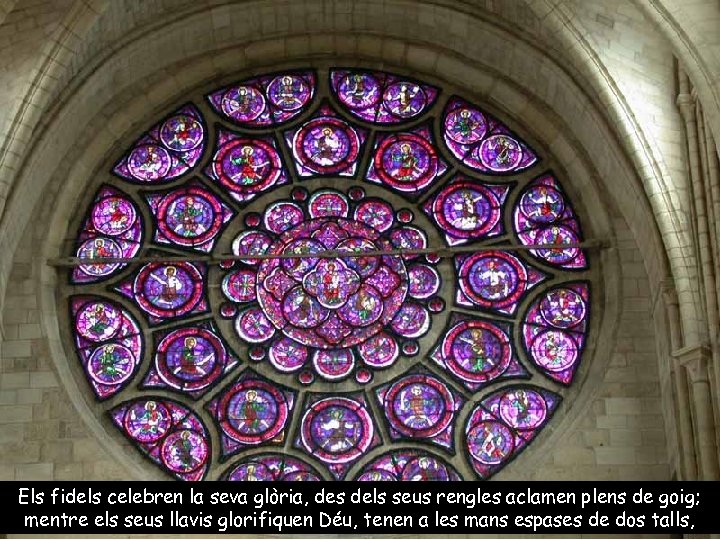 Els fidels celebren la seva glòria, des dels seus rengles aclamen plens de goig;