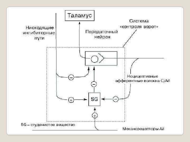 Блок схема болевого анализатора